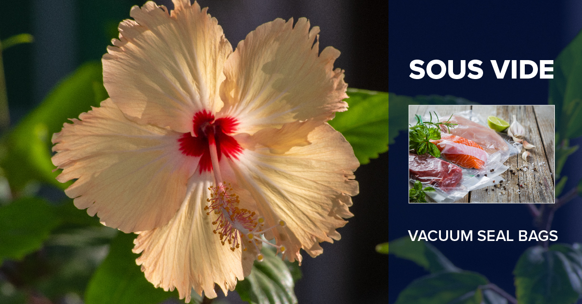 Vacuum seal bags to keep your delicate veggies and flower petals preserved.